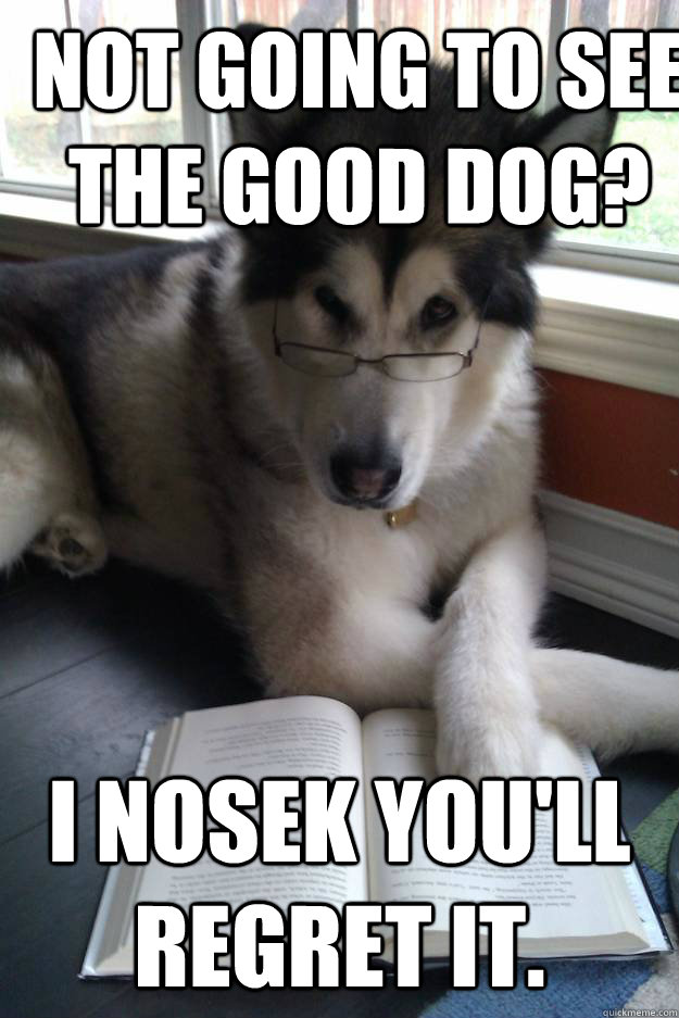 Not going to see the Good Dog? I Nosek you'll regret it.  Condescending Literary Pun Dog