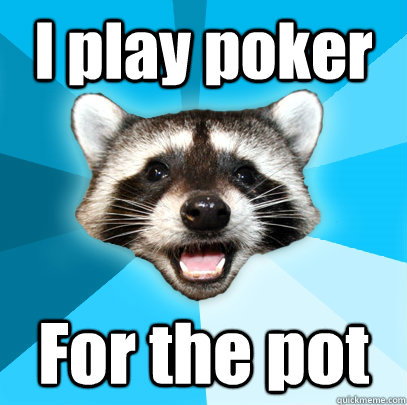 I play poker For the pot  - I play poker For the pot   Lame Pun Coon