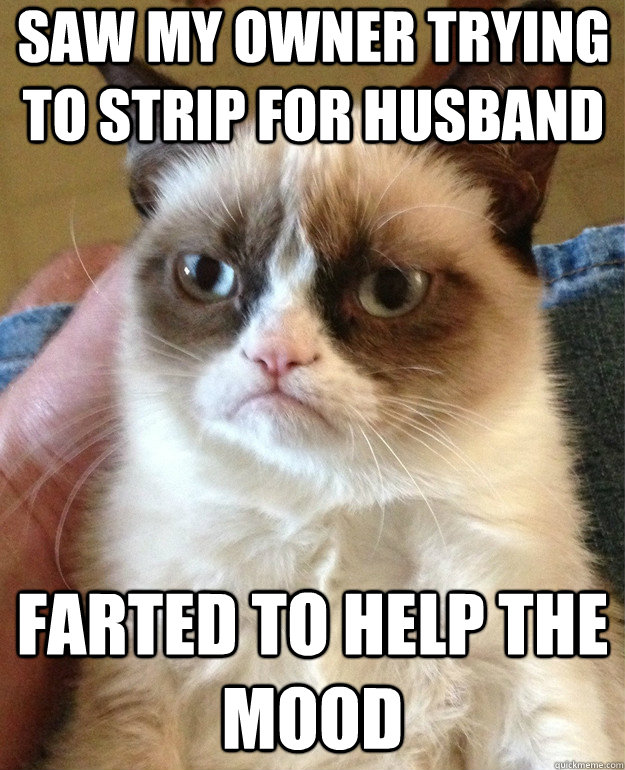 Saw my owner trying to strip for husband farted to help the mood  Grumpy Cat