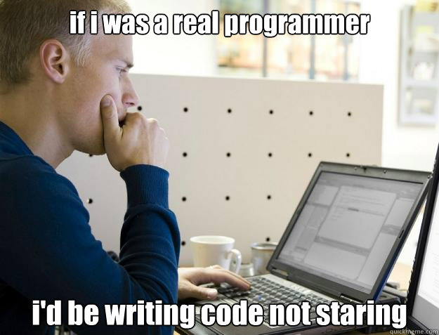 if i was a real programmer i'd be writing code not staring  Programmer