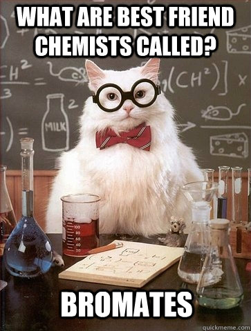 What are best friend chemists called? BROMATEs  Chemistry Cat