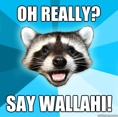 OH REALLY? SAY WALLAHI! - OH REALLY? SAY WALLAHI!  Lame Pun Coon