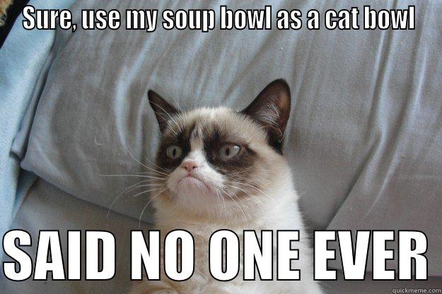 SURE, USE MY SOUP BOWL AS A CAT BOWL  SAID NO ONE EVER Grumpy Cat