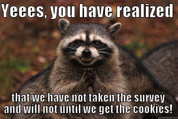 YEEES, YOU HAVE REALIZED  THAT WE HAVE NOT TAKEN THE SURVEY AND WILL NOT UNTIL WE GET THE COOKIES! Evil Plotting Raccoon