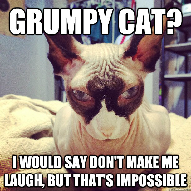 Grumpy Cat? I would say don't make me laugh, but that's impossible  Killer Cat