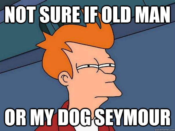 Not sure if old man Or my dog Seymour  Futurama Fry