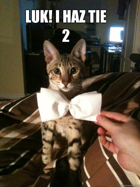 LUK! I HAZ TIE
2  KAT TIE