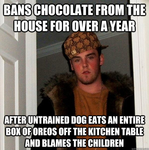 bans chocolate from the house for over a year after untrained dog eats an entire box of oreos off the kitchen table and blames the children  Scumbag Steve