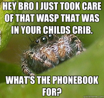 HEY BRO I JUST TOOK CARE OF THAT WASP THAT WAS IN YOUR CHILDS CRIB. WHAT'S THE PHONEBOOK FOR?  Misunderstood Spider