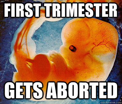 first trimester gets aborted  