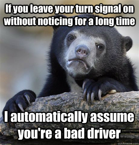 If you leave your turn signal on without noticing for a long time I automatically assume you're a bad driver  Confession Bear