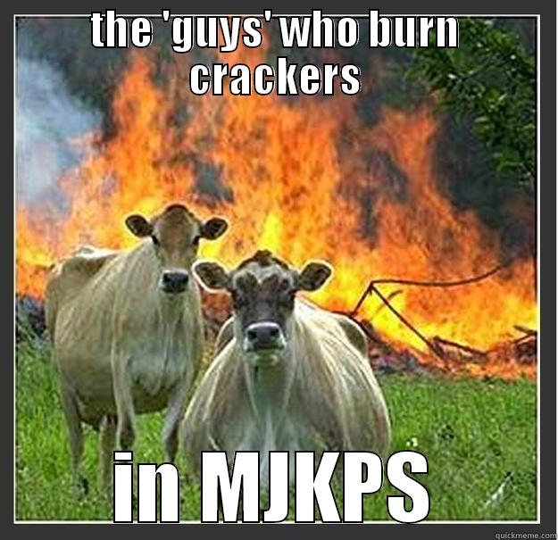 THE 'GUYS' WHO BURN CRACKERS IN MJKPS Evil cows