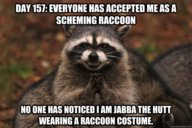 Day 157: everyone has accepted me as a scheming raccoon No one has noticed i am jabba the hutt wearing a raccoon costume.  Evil Plotting Raccoon