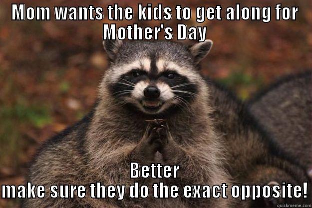 MOM WANTS THE KIDS TO GET ALONG FOR MOTHER'S DAY BETTER MAKE SURE THEY DO THE EXACT OPPOSITE! Evil Plotting Raccoon