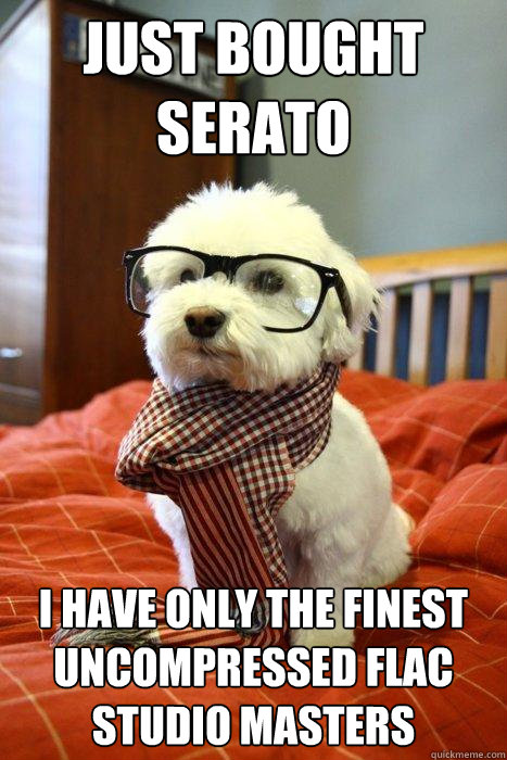 just bought serato i have only the finest uncompressed flac studio masters   Hipster Dog