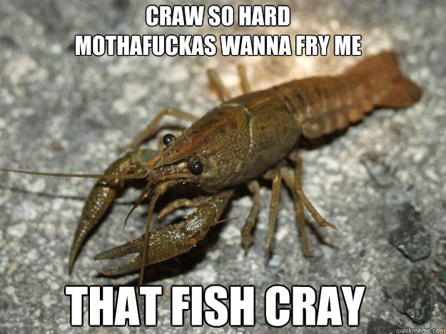 Craw so hard 
mothafuckas wanna fry me that fish cray Caption 3 goes here  that fish cray