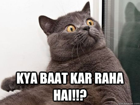  Kya baat kar raha hai!!?  -  Kya baat kar raha hai!!?   conspiracy cat