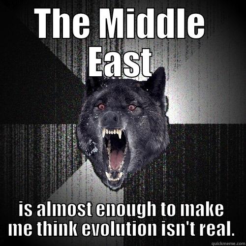 THE MIDDLE EAST IS ALMOST ENOUGH TO MAKE ME THINK EVOLUTION ISN'T REAL. Insanity Wolf