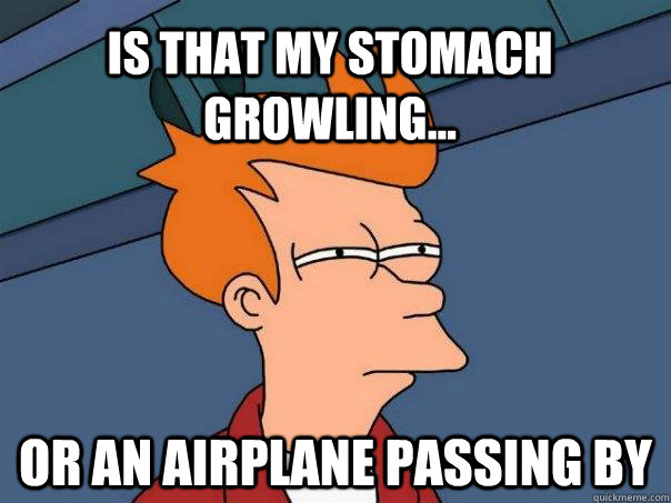 IS THAT MY STOMACH GROWLING... OR AN AIRPLANE PASSING BY  Futurama Fry