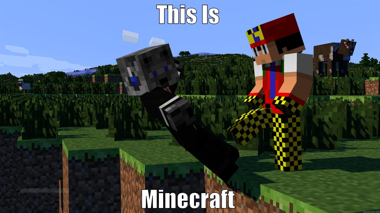 THIS IS MINECRAFT Misc