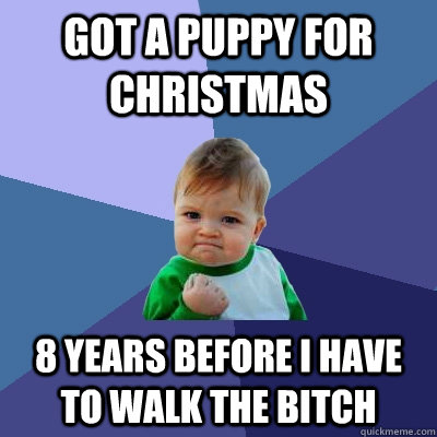 Got a puppy for christmas 8 years before i have to walk the bitch  Success Kid