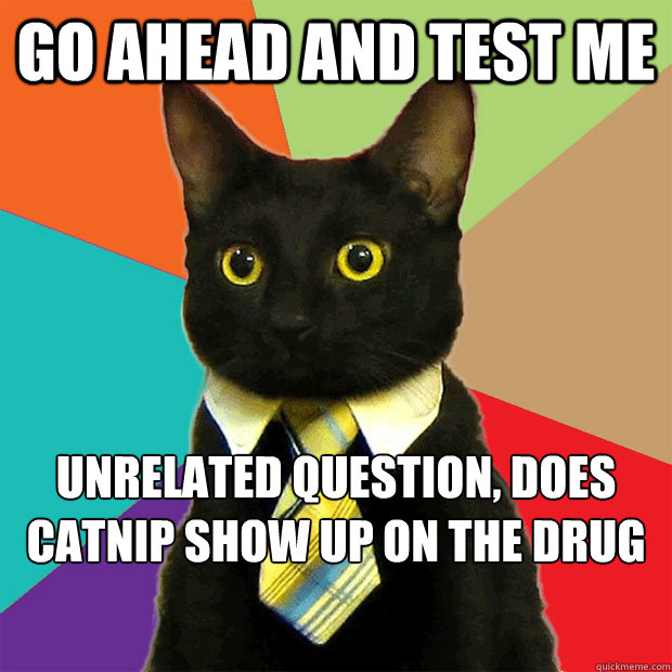 Go ahead and test me  unrelated question, does catnip show up on the drug test ? - Go ahead and test me  unrelated question, does catnip show up on the drug test ?  Business Cat