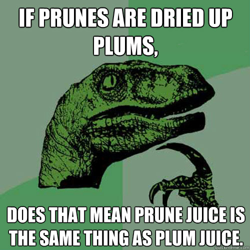 If prunes are dried up plums, Does that mean prune juice is the same thing as plum juice.  Philosoraptor