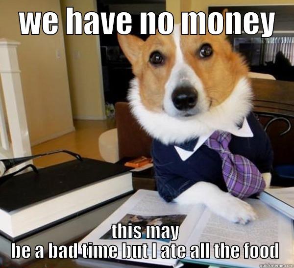    WE HAVE NO MONEY    THIS MAY BE A BAD TIME BUT I ATE ALL THE FOOD Lawyer Dog