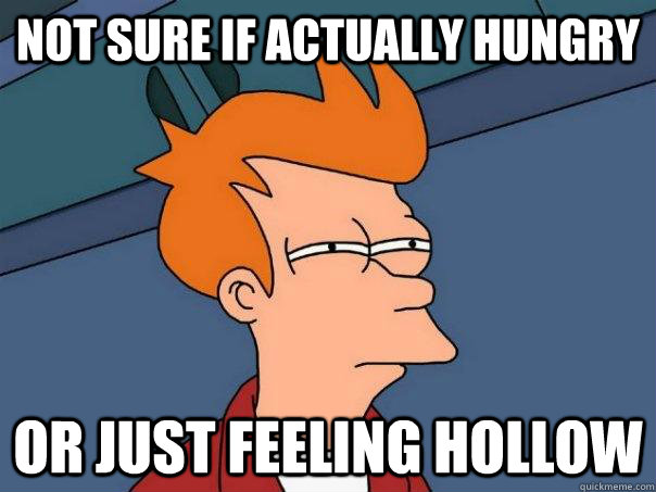 Not sure if actually hungry Or just feeling hollow - Not sure if actually hungry Or just feeling hollow  Futurama Fry