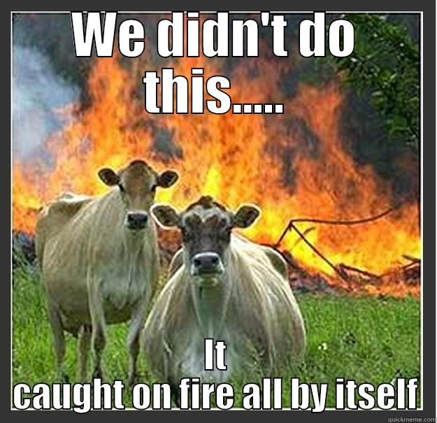 WE DIDN'T DO THIS..... IT CAUGHT ON FIRE ALL BY ITSELF Evil cows