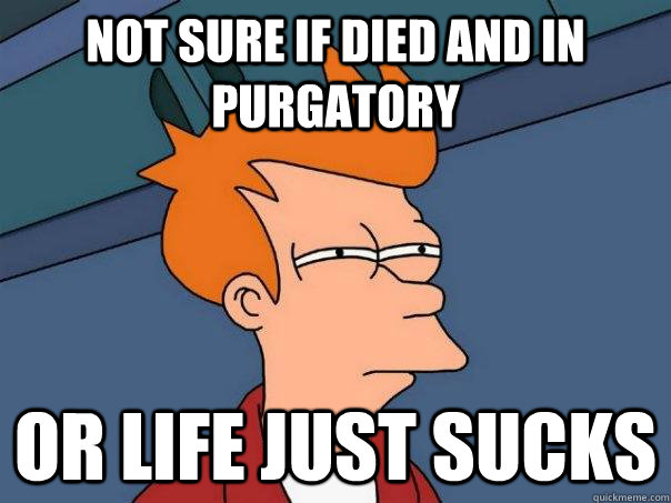 Not sure if died and in purgatory or life just sucks  - Not sure if died and in purgatory or life just sucks   Futurama Fry