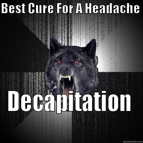 BEST CURE FOR A HEADACHE  DECAPITATION  Insanity Wolf