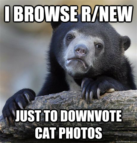 I browse r/new just to downvote cat photos  Confession Bear