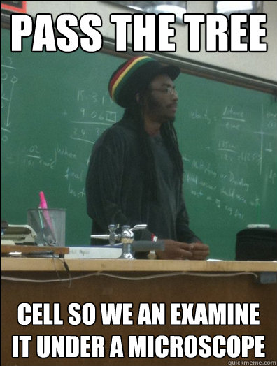 PASS THE TREE CELL SO WE AN EXAMINE IT UNDER A MICROSCOPE  Rasta Science Teacher