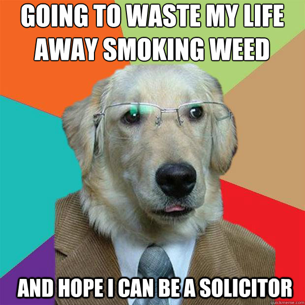 going to waste my life away smoking weed
 and hope i can be a solicitor  Business Dog