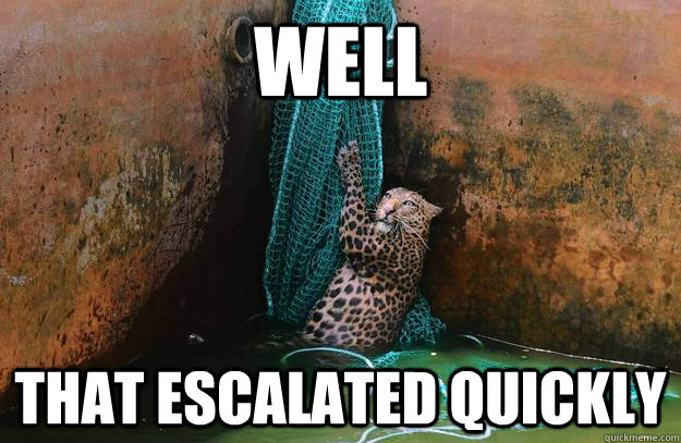 Well That escalated quickly  Leopard Escalation