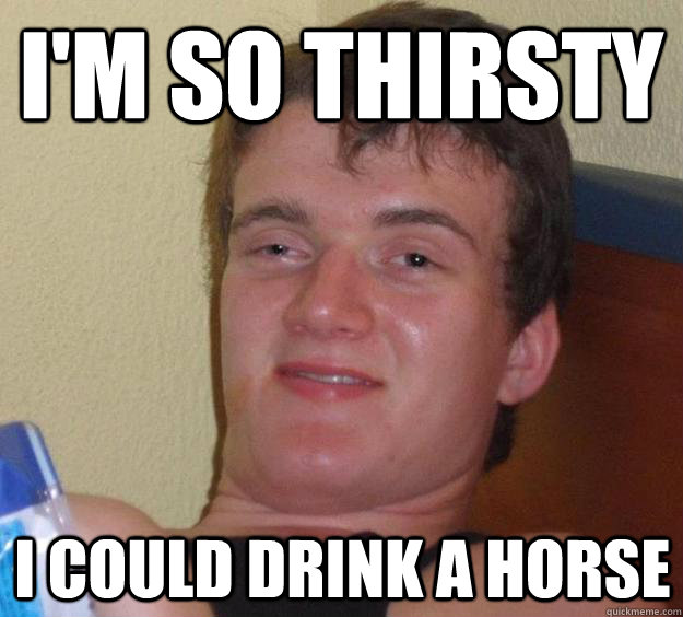 I'm so thirsty I could drink a horse  10 Guy