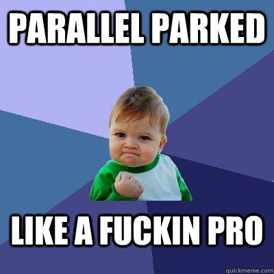 Parallel Parked like a fuckin pro - Parallel Parked like a fuckin pro  Success Kid