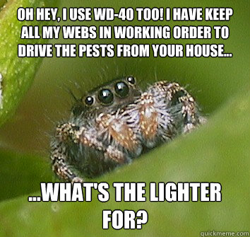 Oh hey, I use WD-40 too! I have keep all my webs in working order to drive the pests from your house... ...What's the lighter for? - Oh hey, I use WD-40 too! I have keep all my webs in working order to drive the pests from your house... ...What's the lighter for?  Misunderstood Spider