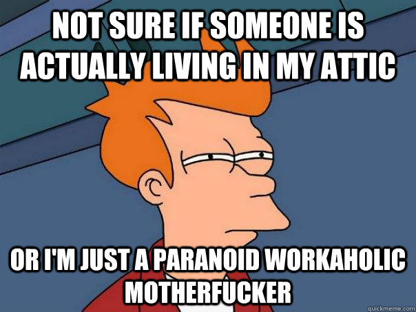 Not sure if someone is actually living in my attic Or I'm just a paranoid workaholic motherfucker  Futurama Fry