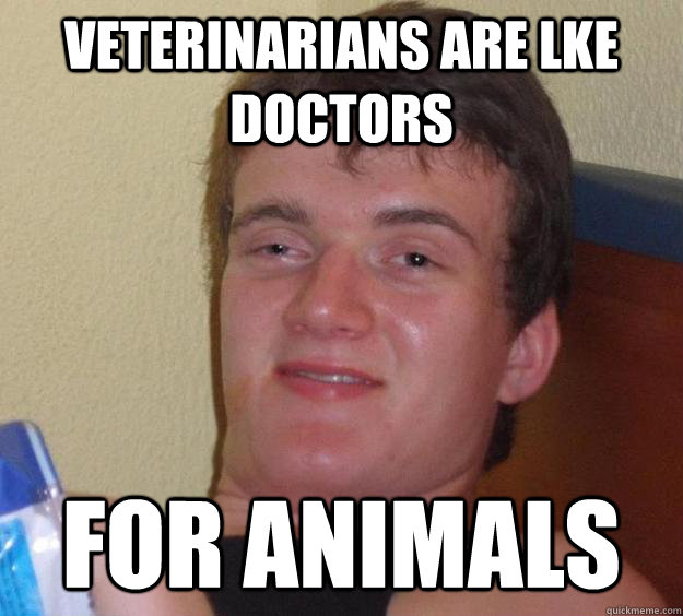 veterinarians are lke doctors  for animals - veterinarians are lke doctors  for animals  10 Guy