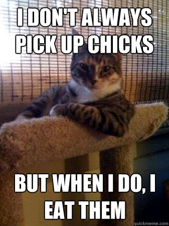 I don't always pick up chicks But when I do, I eat them  The Most Interesting Cat in the World