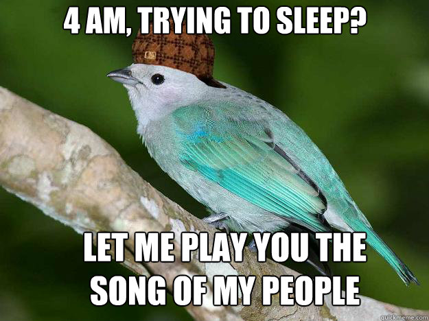 4 am, trying to sleep? let me play you the song of my people  