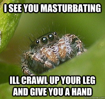 I see you masturbating ill crawl up your leg and give you a hand  Misunderstood Spider