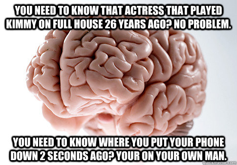 You need to know that actress that played kimmy on full house 26 Years ago? No problem. You need to know where you put your phone down 2 seconds ago? Your on your own man.  Scumbag Brain