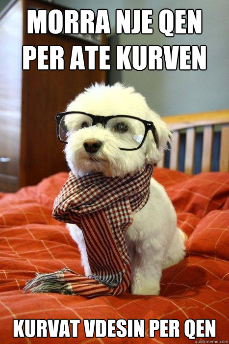 morra nje qen per ate kurven kurvat vdesin per qen   Hipster Dog