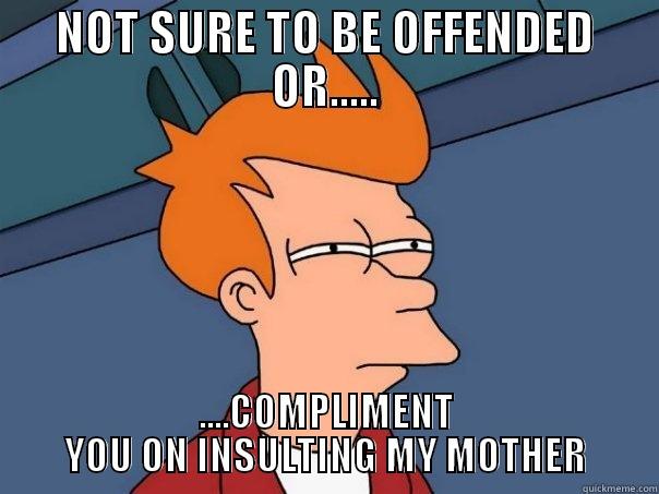 NOT SURE TO BE OFFENDED OR..... ....COMPLIMENT YOU ON INSULTING MY MOTHER Futurama Fry
