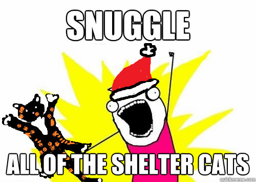 Snuggle All of the shelter cats - Snuggle All of the shelter cats  All of the Christmas cats