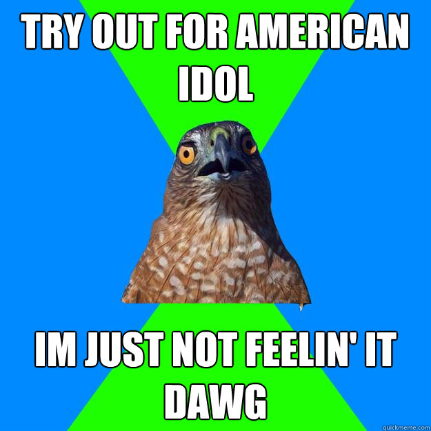 Try out for american idol im just not feelin' it dawg  Hawkward