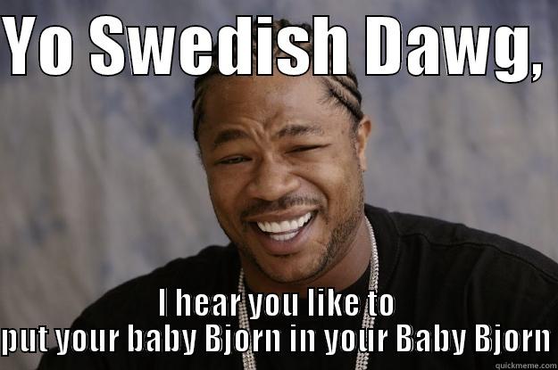Swedish Xzibit - YO SWEDISH DAWG,  I HEAR YOU LIKE TO PUT YOUR BABY BJORN IN YOUR BABY BJORN Xzibit meme